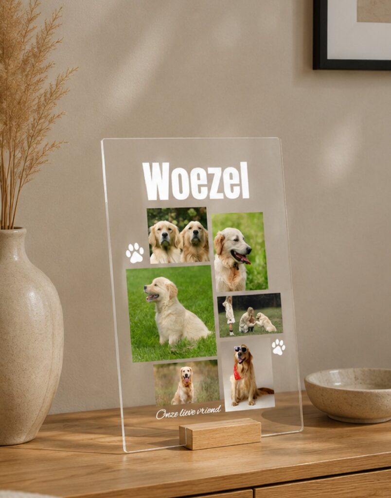 Plexiglas Familie - Hond